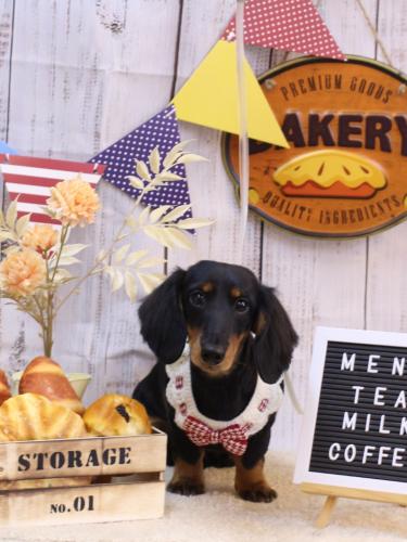 20240905ロブくん